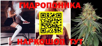 стафф Обь