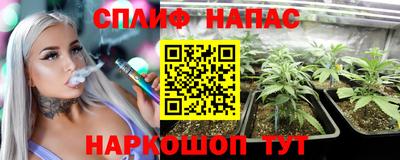 стафф Обь