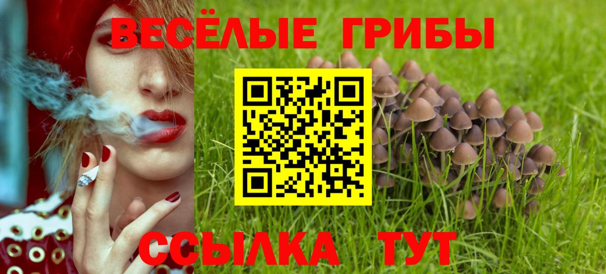 Тосно  Галлюциногенные грибы мицелий  Вход с VPN 