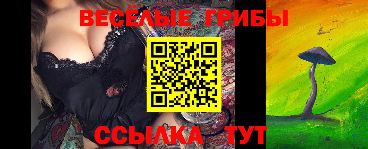 Галлюциногенные грибы ЛСД Тосно