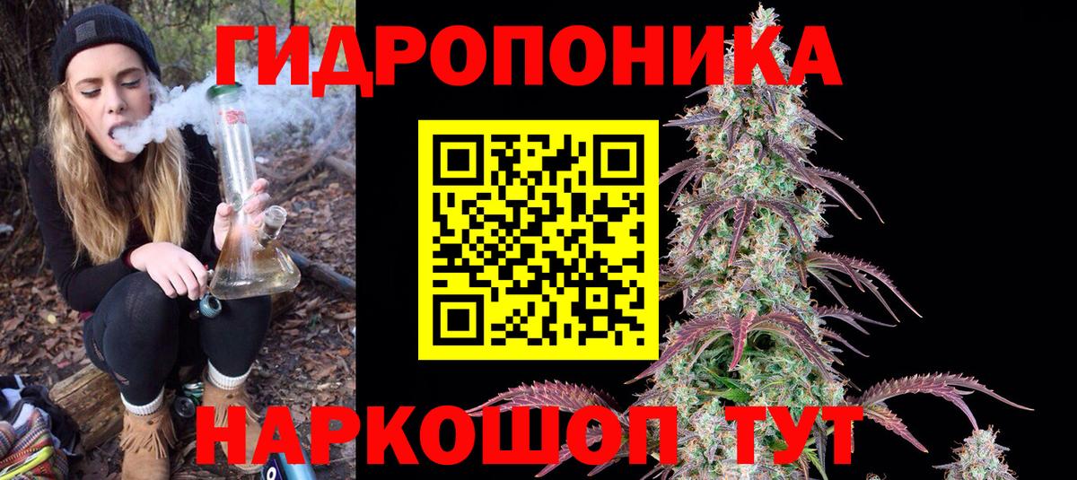 Канабис ГИДРОПОН  Вход с VPN  МАРИХУАНА SATIVA & INDICA  Тосно  Марихуана OG Kush 